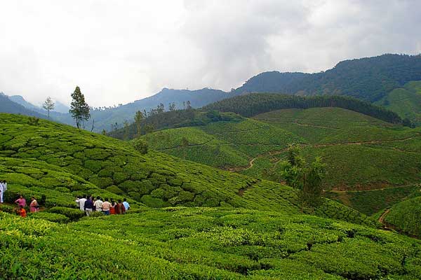 Munnar-Alleppy-Southtourism.in