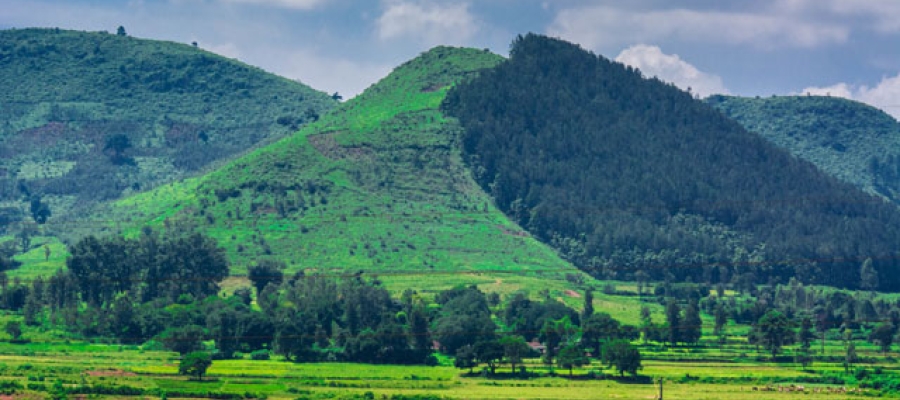 What are the Seven Best Places to visit in Andhra Pradesh this year?