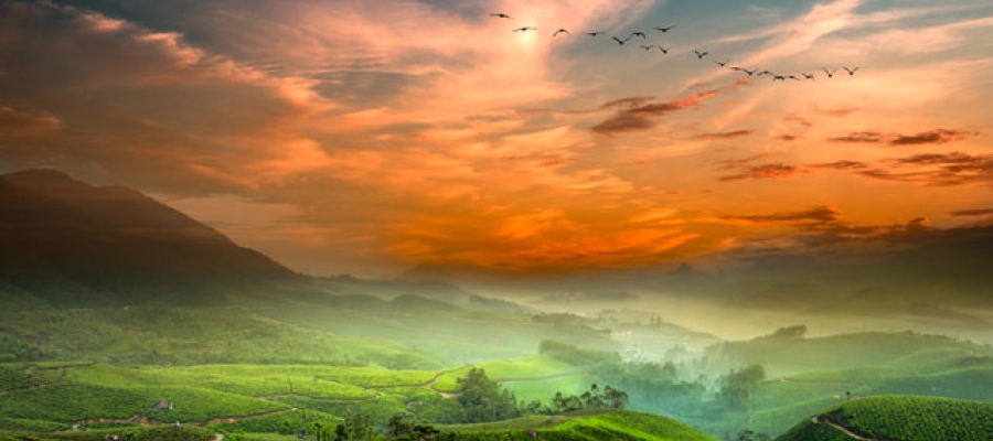 Best Destinations To Celebrate This Diwali Vacation In South India