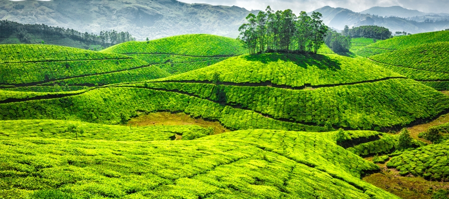 5 best places to visit in South India in December