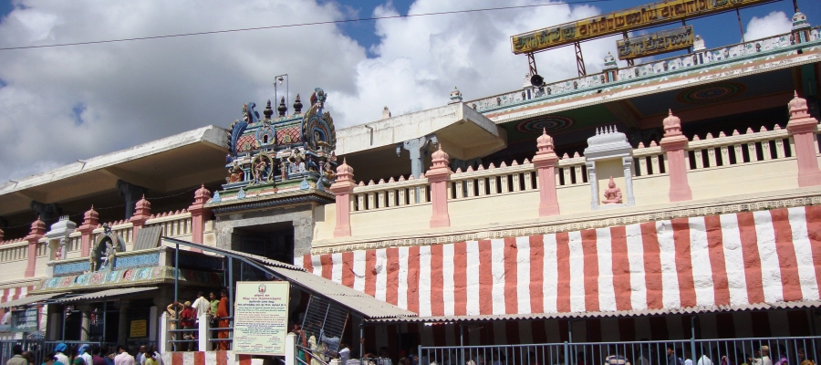 Thiruthani Murugan Temple Padi Pooja New Year Celebrations 2018