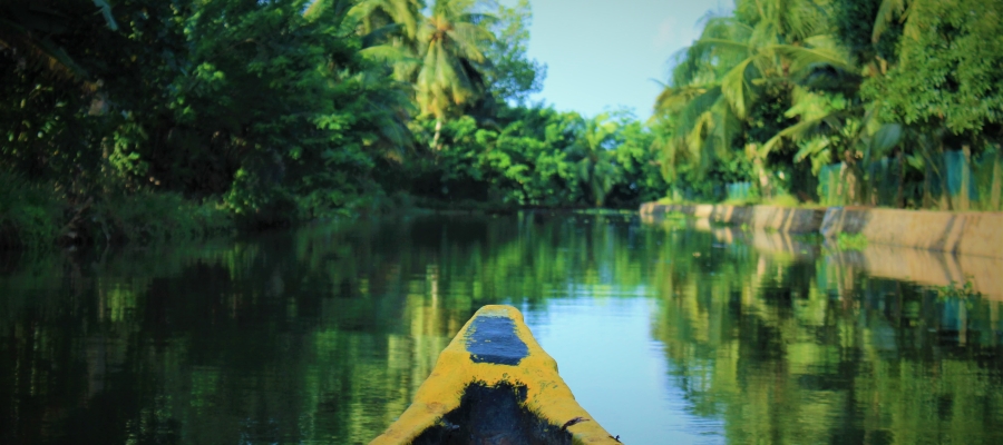 Kerala: 5 things to do in Alleppey other than the Houseboat cruise