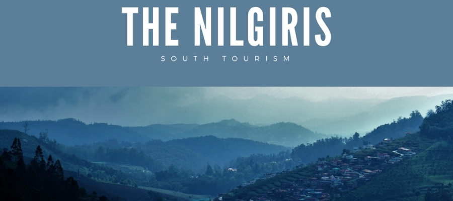 Ooty: Camp amidst the Nilgiris