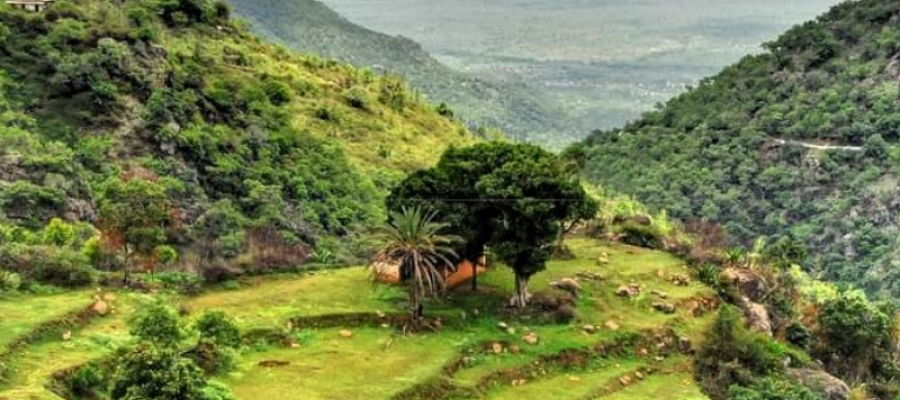 Long weekends and suggested places to visit in 2019